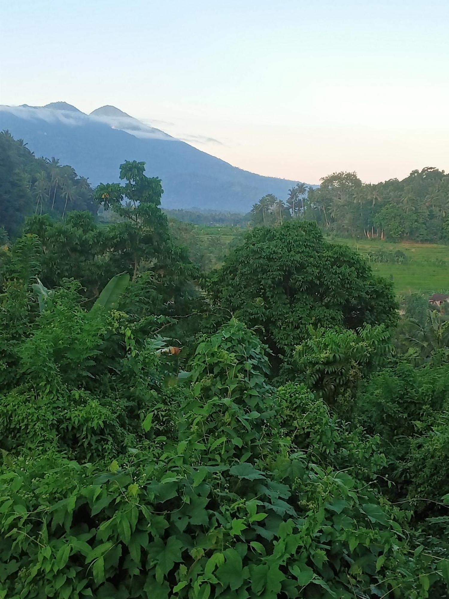 Alamku Bungalow Karangasem Exterior foto